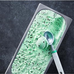 EVEREST PEPPERMINT CHOC CHIP ICE CREAM 5LT