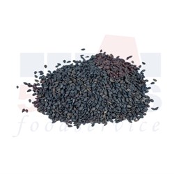 BCS500_1
